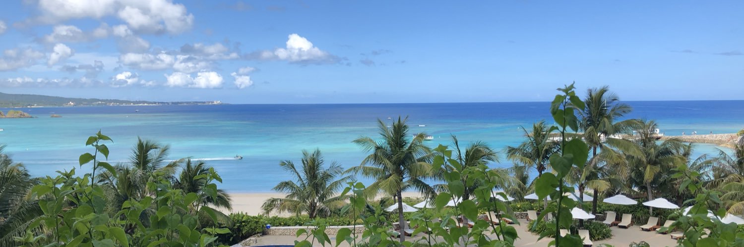 𝒸𝑜𝒸𝑜 banner