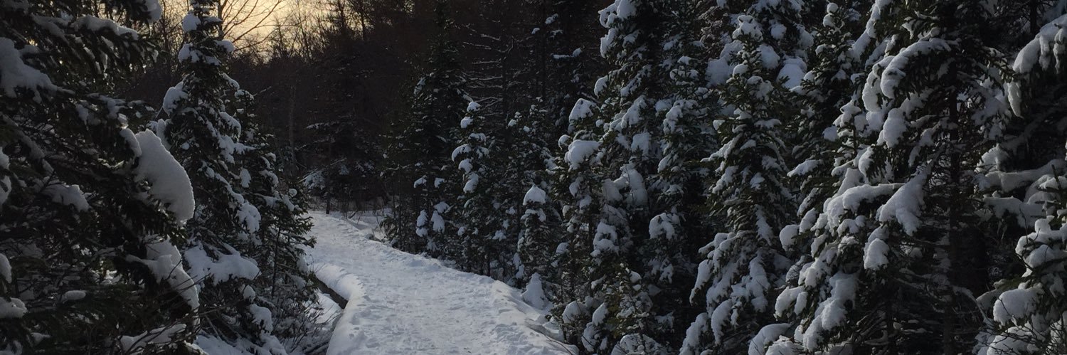 cindystone66's profile banner image