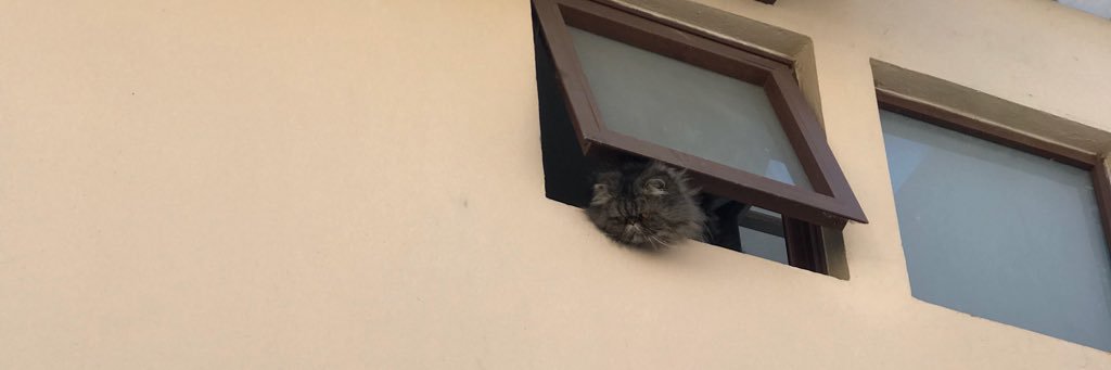 Samjv_86's profile banner image