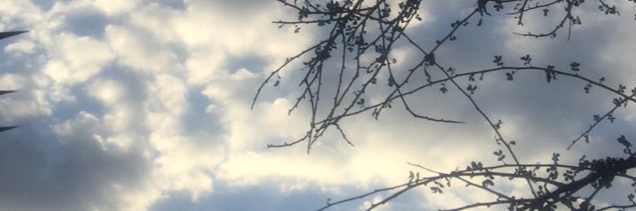 AMlakih7's profile banner image