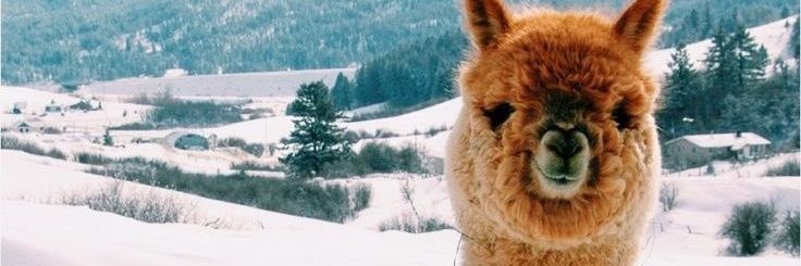 LifeMy69's profile banner image