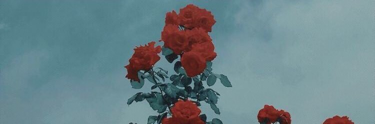 bkilimcioglu's profile banner image