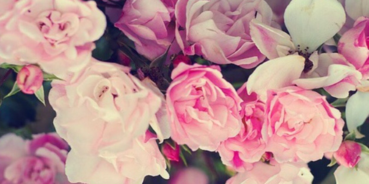 CrisLliteras's profile banner image