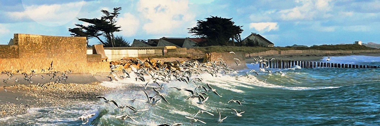 Erwan Courseaux banner