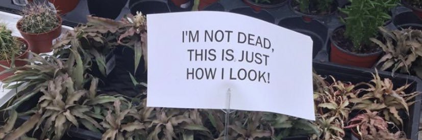 everwiththem's profile banner image