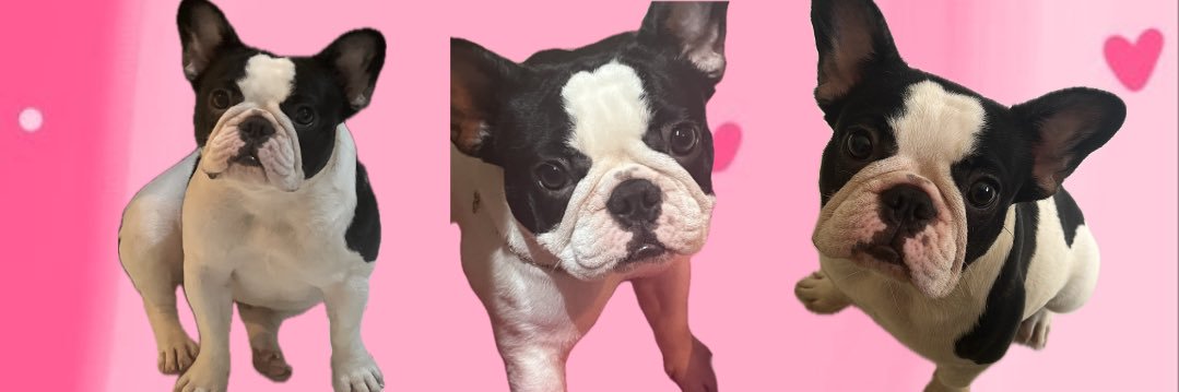 Mari ᶜᵉᶜ banner