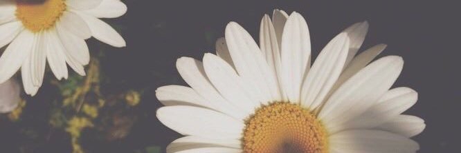 m_stum's profile banner image