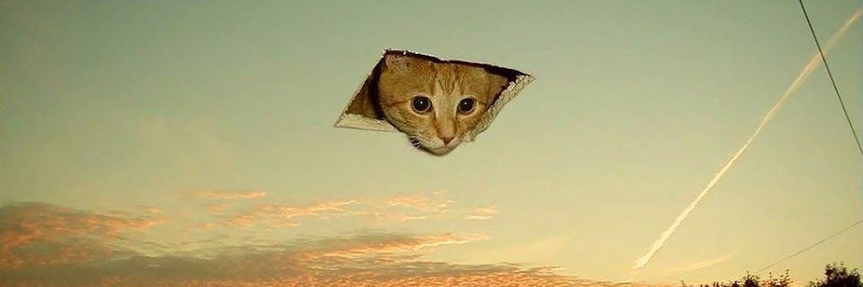 Marcus Vinicius banner