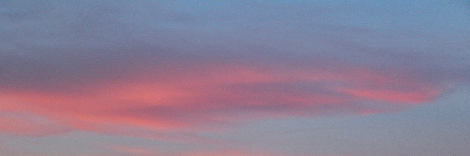 Florgdzg's profile banner image