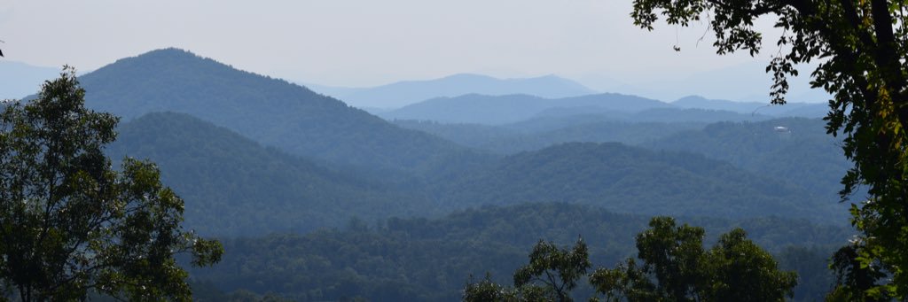 M_Placzkiewicz's profile banner image