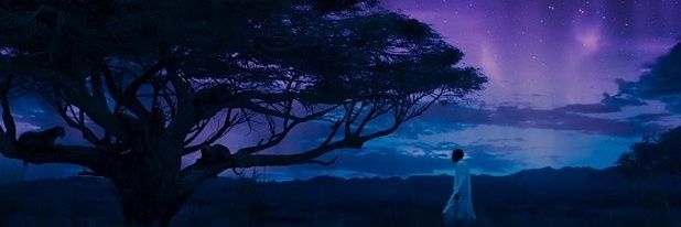 _vmcm's profile banner image