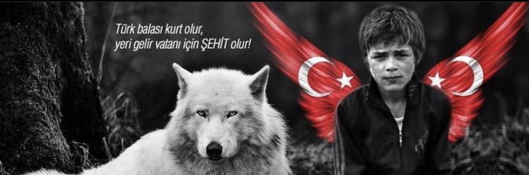 reisafk's profile banner image