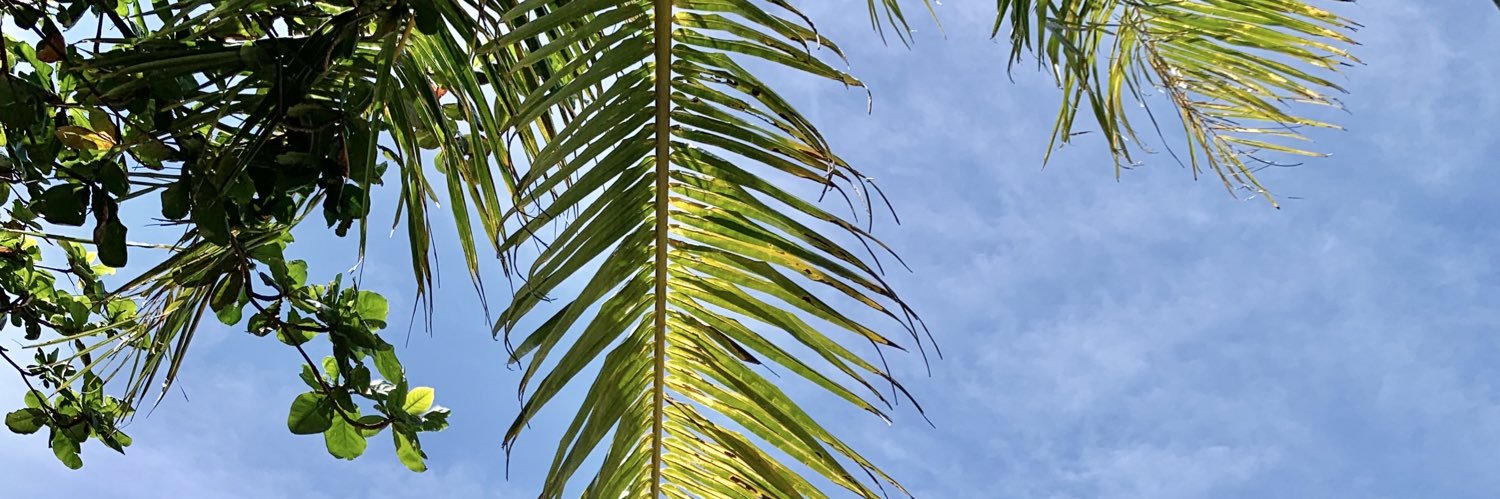 xRᴀɢɴᴀʀᴏᴋ lll banner