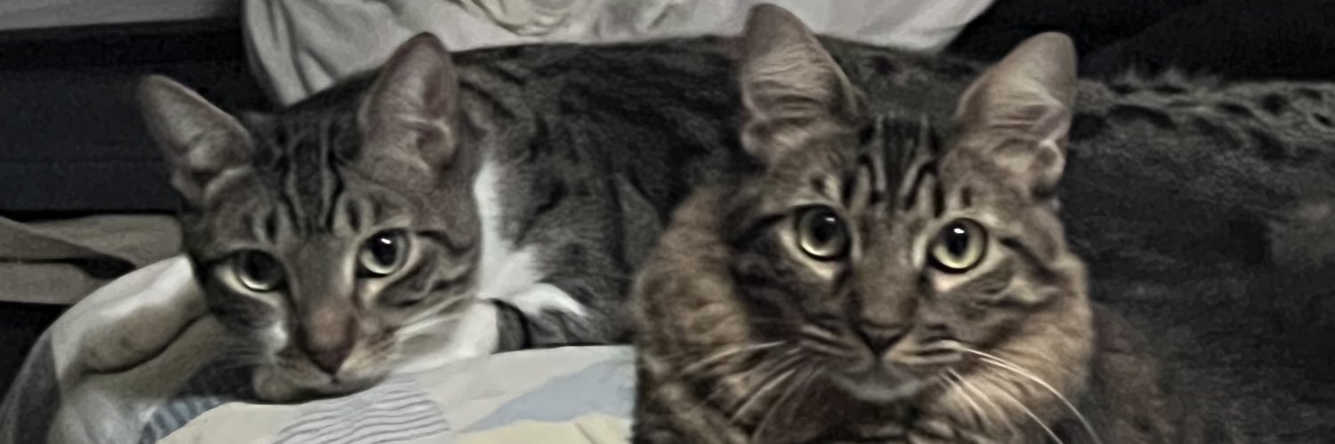 johnyan64's profile banner image