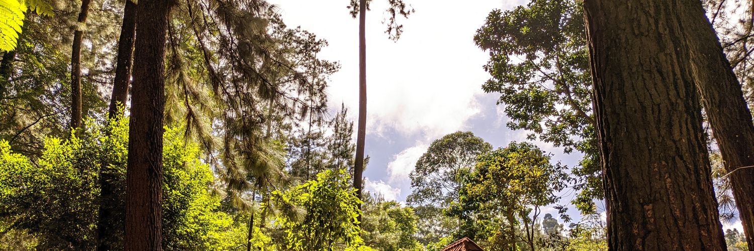 diwinnee_'s profile banner image