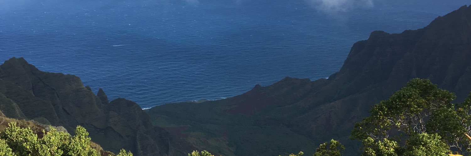 curtismonte's profile banner image