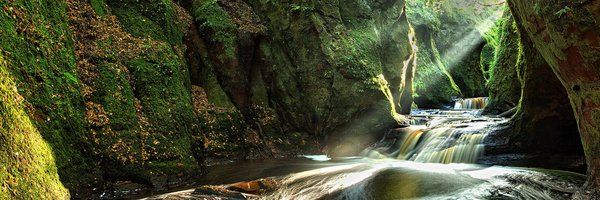 CairaLovesOL Profile Banner