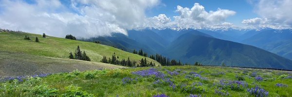 Mahzad___ Profile Banner