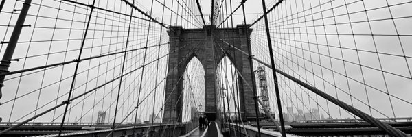 amybetic Profile Banner