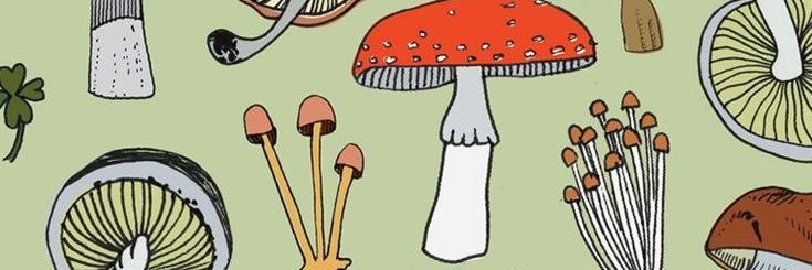 AutumnRoper's profile banner image