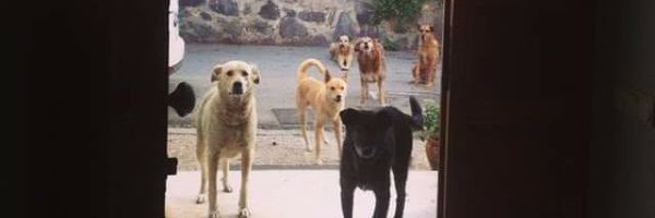 binnazpike Profile Banner