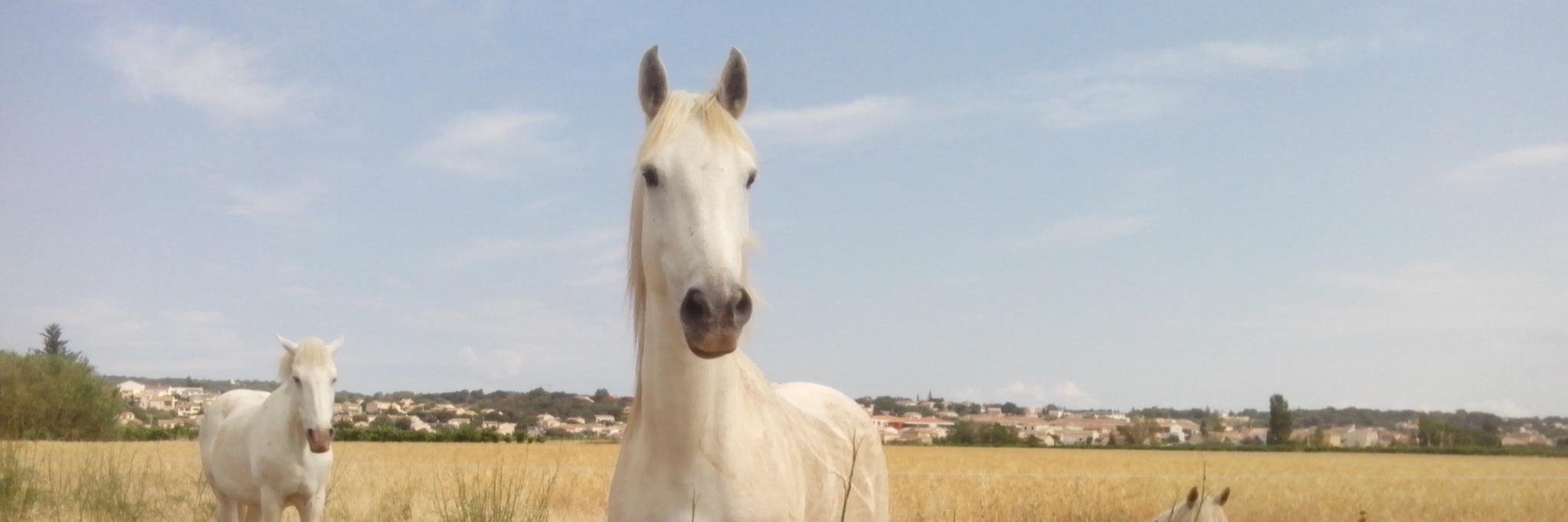 bert3411's profile banner image
