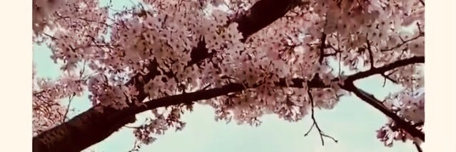 MyplaceBlue's profile banner image