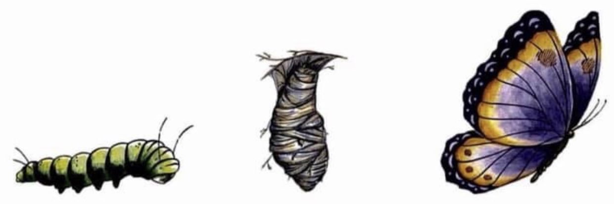 mo_niqueelilma's profile banner image