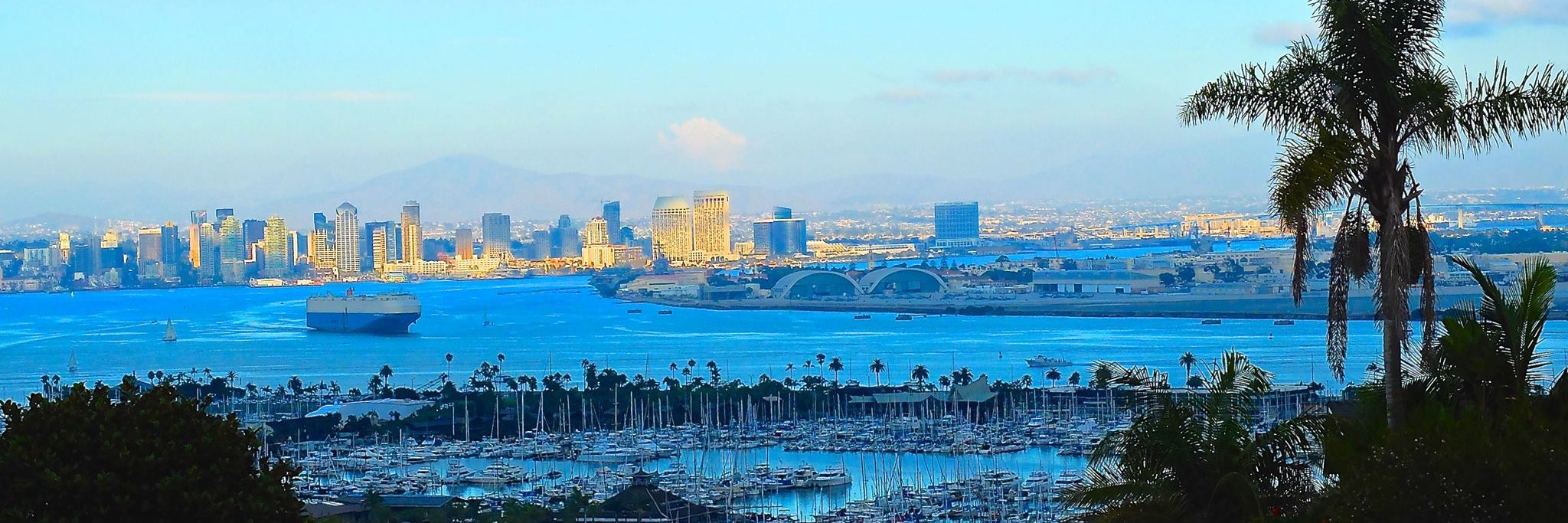 Monika Simoes banner