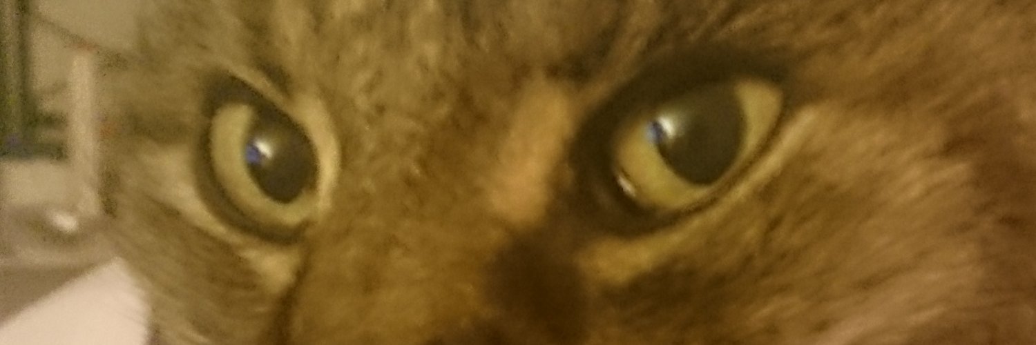 Anna_Alize's profile banner image