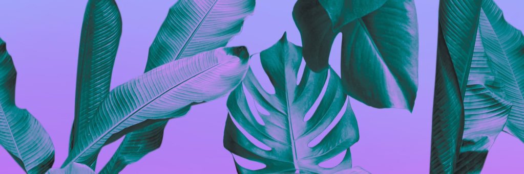 cassieavery_'s profile banner image