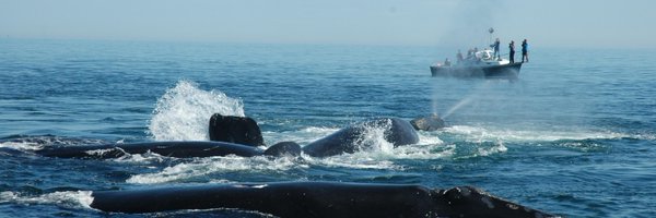 CenterOceanLife Profile Banner