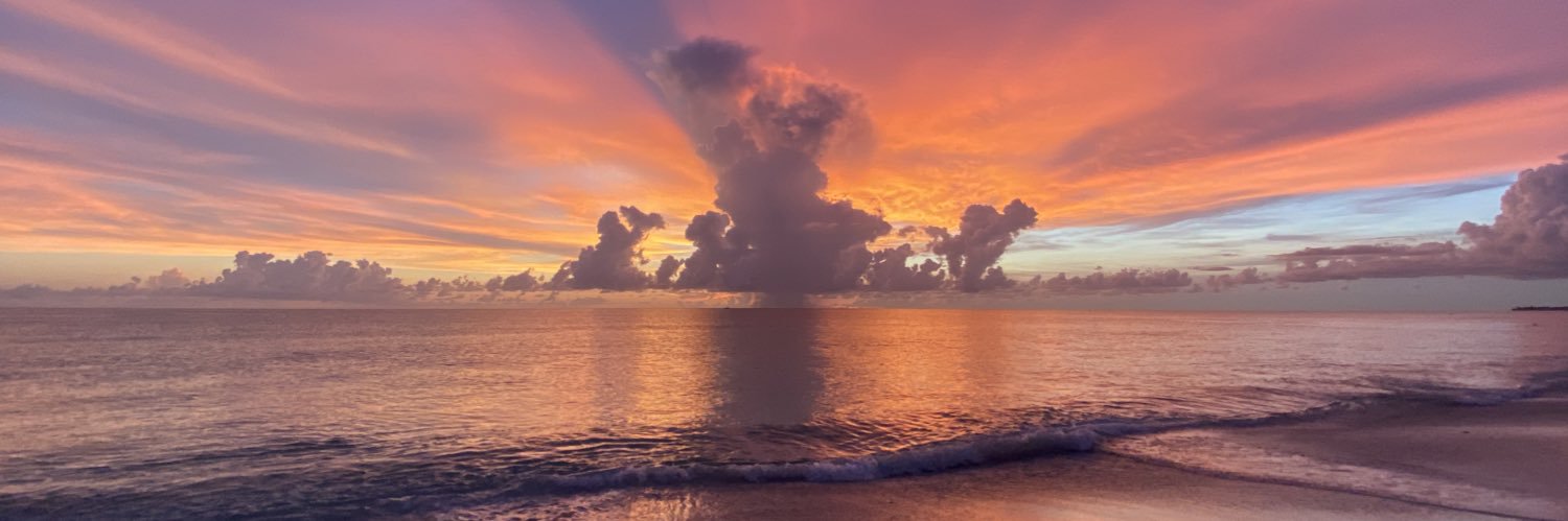 Bre_Bolin's profile banner image