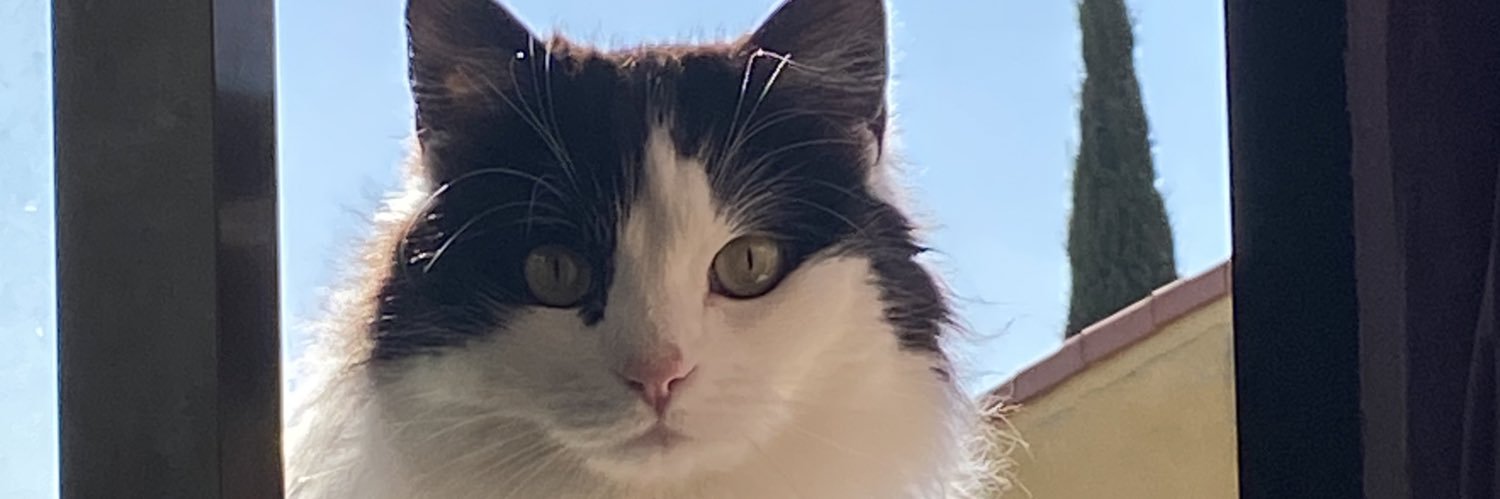 romidelafu's profile banner image