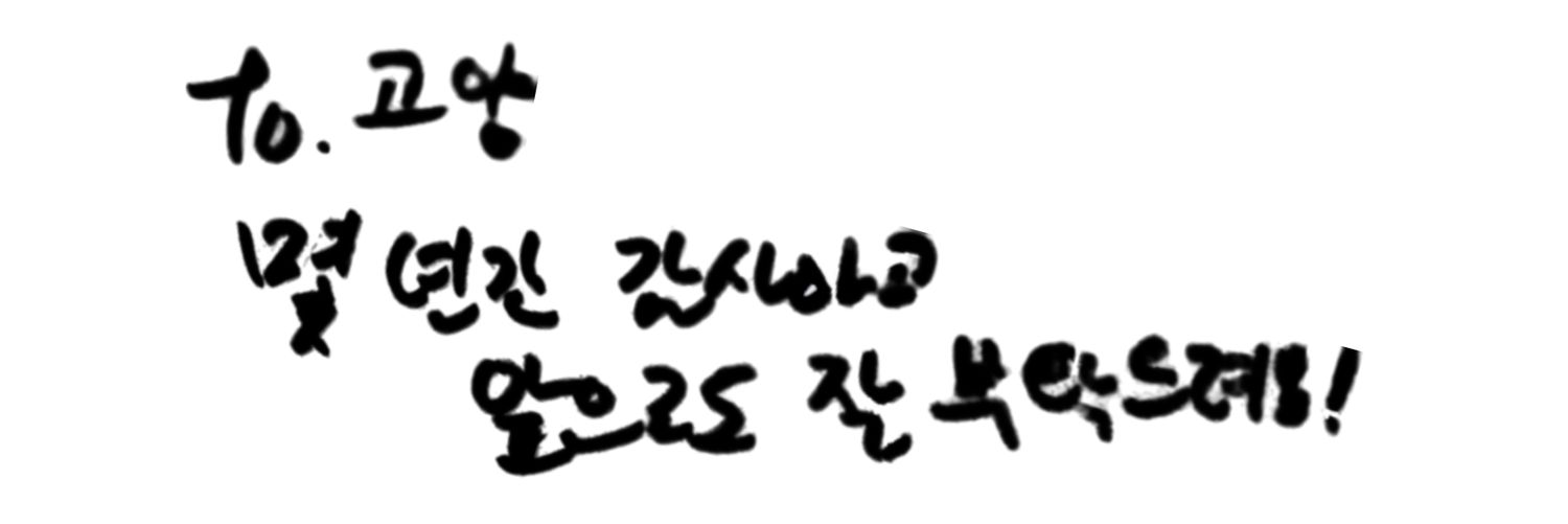 고양's banner