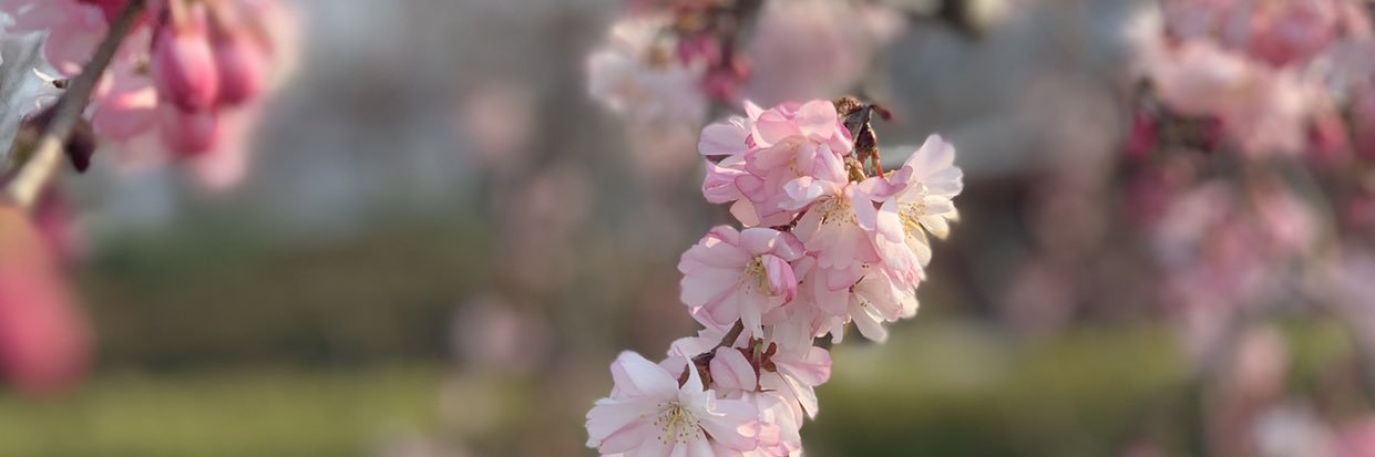 keng0721's profile banner image
