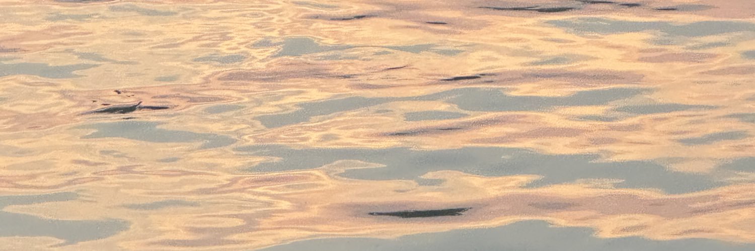 Meteoroidd's profile banner image