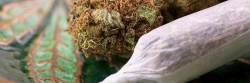 • banner