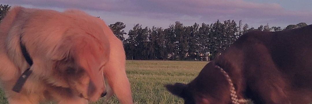 eze_2do's profile banner image