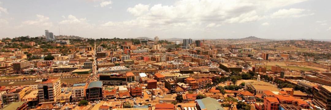 Katelyn Sileo banner