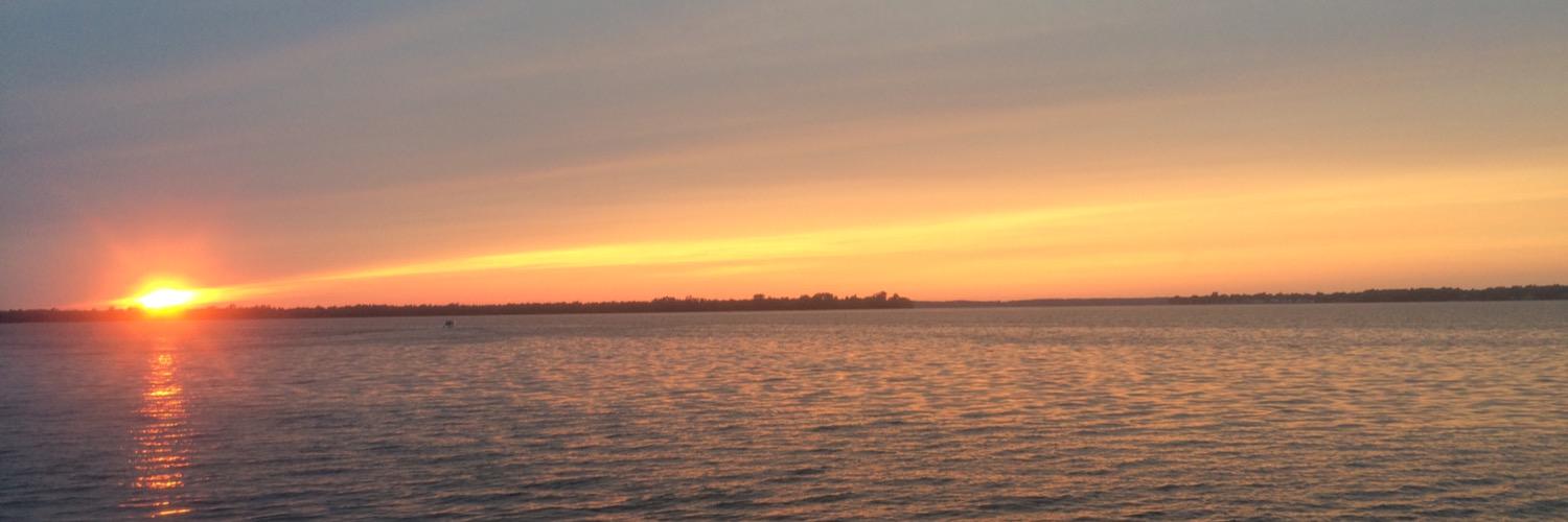 c_eals's profile banner image