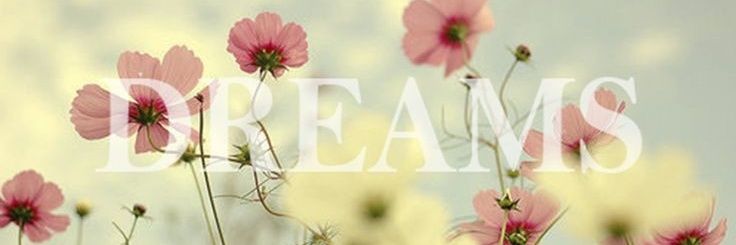 Jehyully's profile banner image