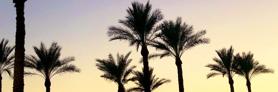 Mccune3's profile banner image