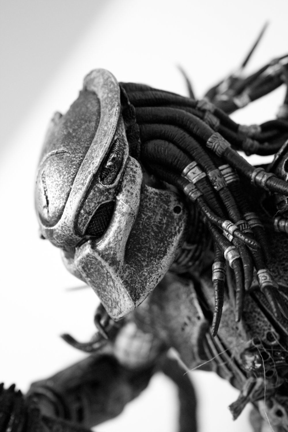 jlmu10's profile banner image