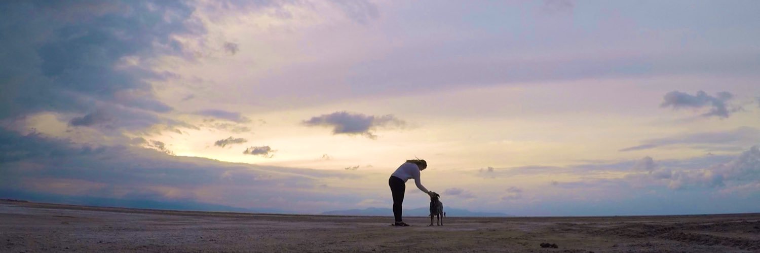 Amoeba E 🦠 banner