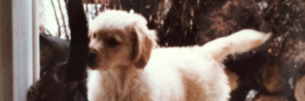 EdwardsPAW Profile Banner