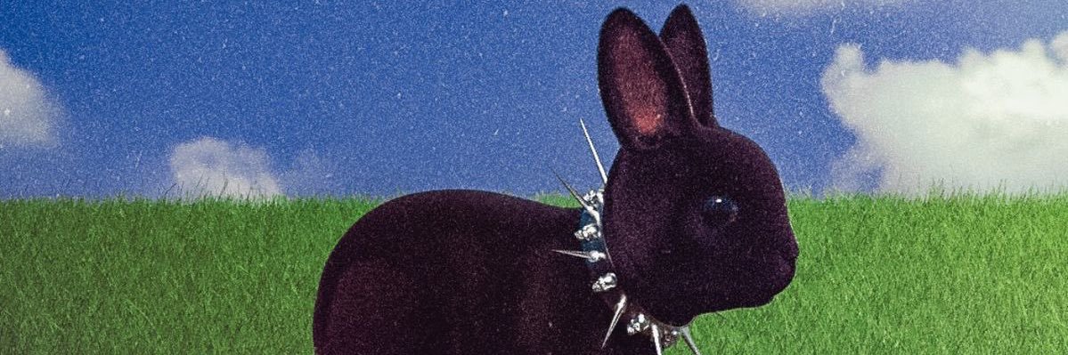 xoluvbrit's profile banner image