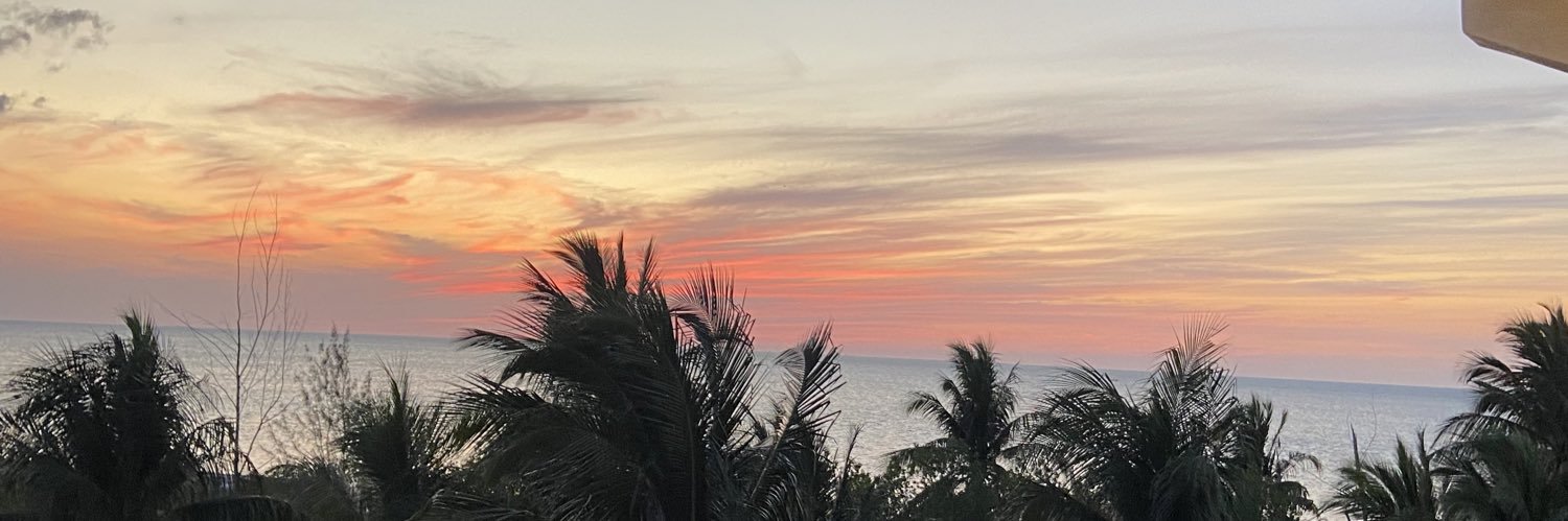 WenLunna's profile banner image