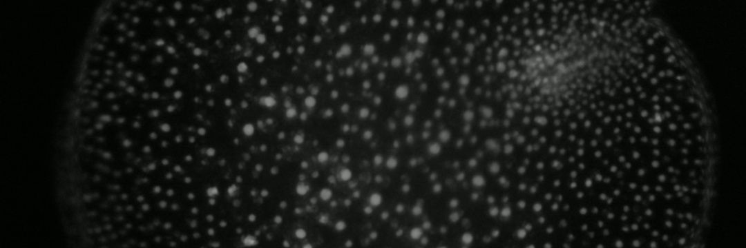 Ariel Cerda Rojas banner