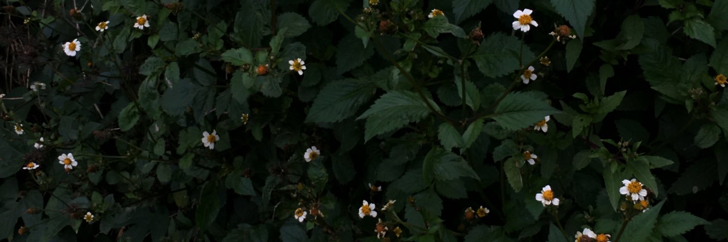 adindas_'s profile banner image